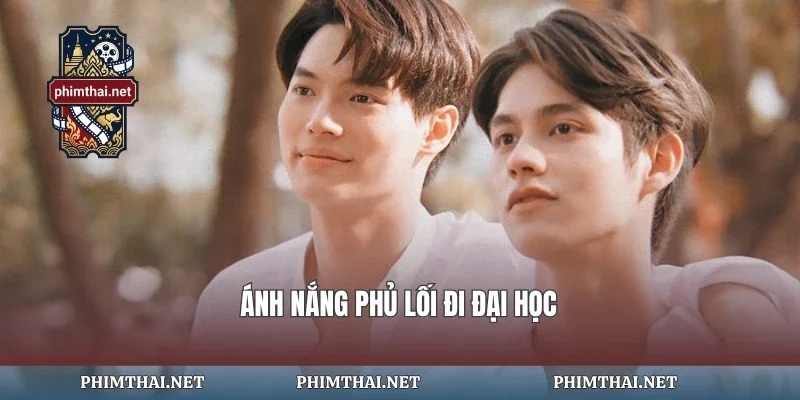 Ánh nắng phủ lối đi đại học