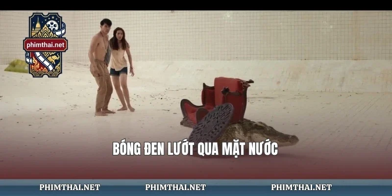 Bóng đen lướt qua mặt nước